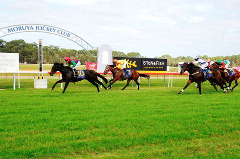 Batemans Bay Cup - New Castle Tourism 2