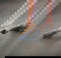 Beginner Tap Extended - Newcastle Accommodation