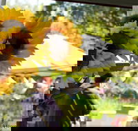 Blackville Arts and Market Day - Newcastle Accommodation