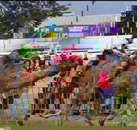 Camel Races at Gosford Showgrounds - Newcastle Accommodation