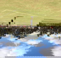 Charlton Lawn Tennis Club Annual Tournament - Newcastle Accommodation