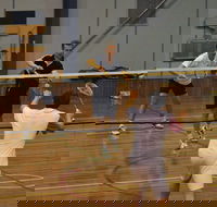 Charlton Badminton Club Ladies Tournament - Newcastle Accommodation