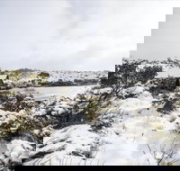 Christmas in July at Cradle Mountain Hotel 2020 - Newcastle Accommodation