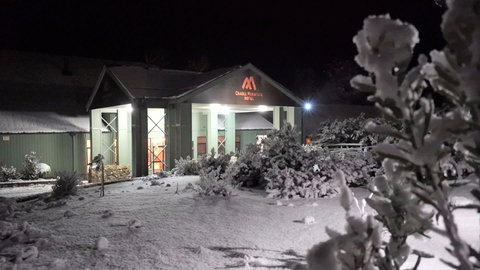 Christmas In July At Cradle Mountain Hotel 2020 - Newcastle Accommodation 2