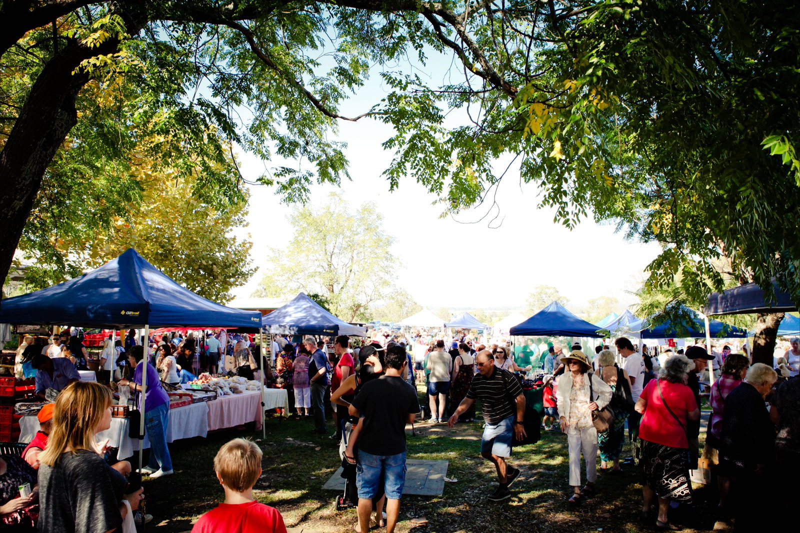 Cobbitty NSW New Castle Tourism