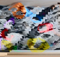 Cuttle-Rock Challenge - CUTTLEFEST 2020 - Whyalla - Newcastle Accommodation