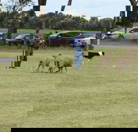Dean Sheepdog Trials - Old Sniff Classic - Newcastle Accommodation