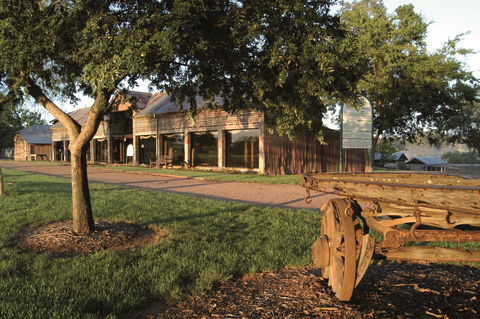 Father's Day At Belgenny Farm - Newcastle Accommodation 0