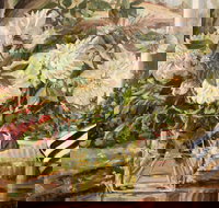 Introduction to Oils with Kim Grivas - Newcastle Accommodation