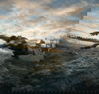 IRONMAN 70.3 Western Australia - Newcastle Accommodation