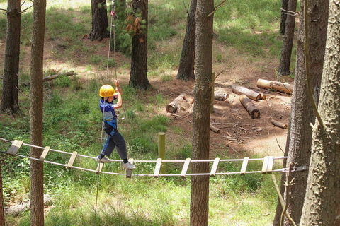 July 2020 Holidays- Go Wild At The Mt Lofty Adventure Hub - Newcastle Accommodation 0