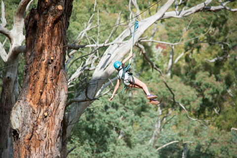 July 2020 Holidays- Go Wild At The Mt Lofty Adventure Hub - Newcastle Accommodation 1