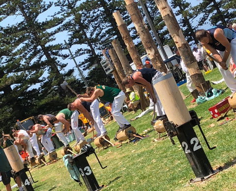 Kiama Show - New Castle Tourism 1