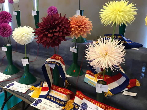 Kiama Show - New Castle Tourism 2