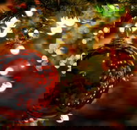 Light Up Federation - Newcastle Accommodation