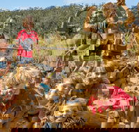 Mini Muddies Obstacle Challenge at Bunnamagoo Estate - Newcastle Accommodation