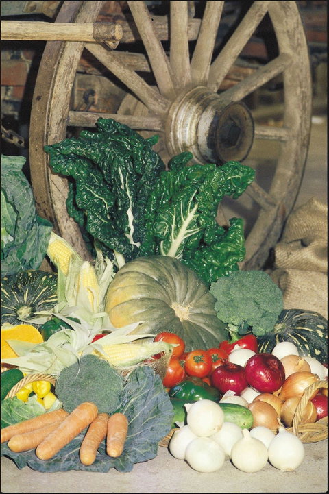 Mulgowie Real Farmers Markets - New Castle Tourism 0