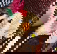 Murrindindi Beanie  Fibre Festival Online - Newcastle Accommodation