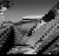 Music in the Gardens - Mitch King - Newcastle Accommodation