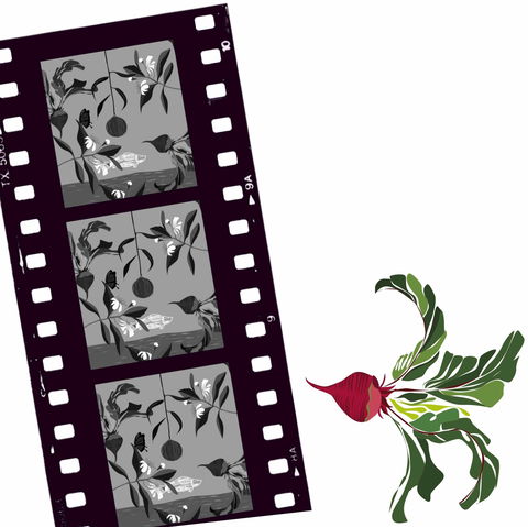 Oseanica Film Project - Newcastle Accommodation 0