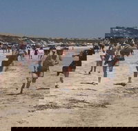 Perlubie Beach Sports Day - Newcastle Accommodation