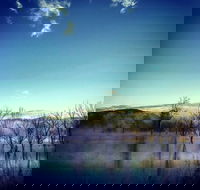 Scenic Rim Ultra - Newcastle Accommodation