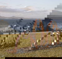 Sculpture Bermagui - Newcastle Accommodation