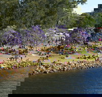 Shoalhaven River Festival - Newcastle Accommodation