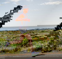 SunSmart Busselton Festival of Triathlon - Newcastle Accommodation