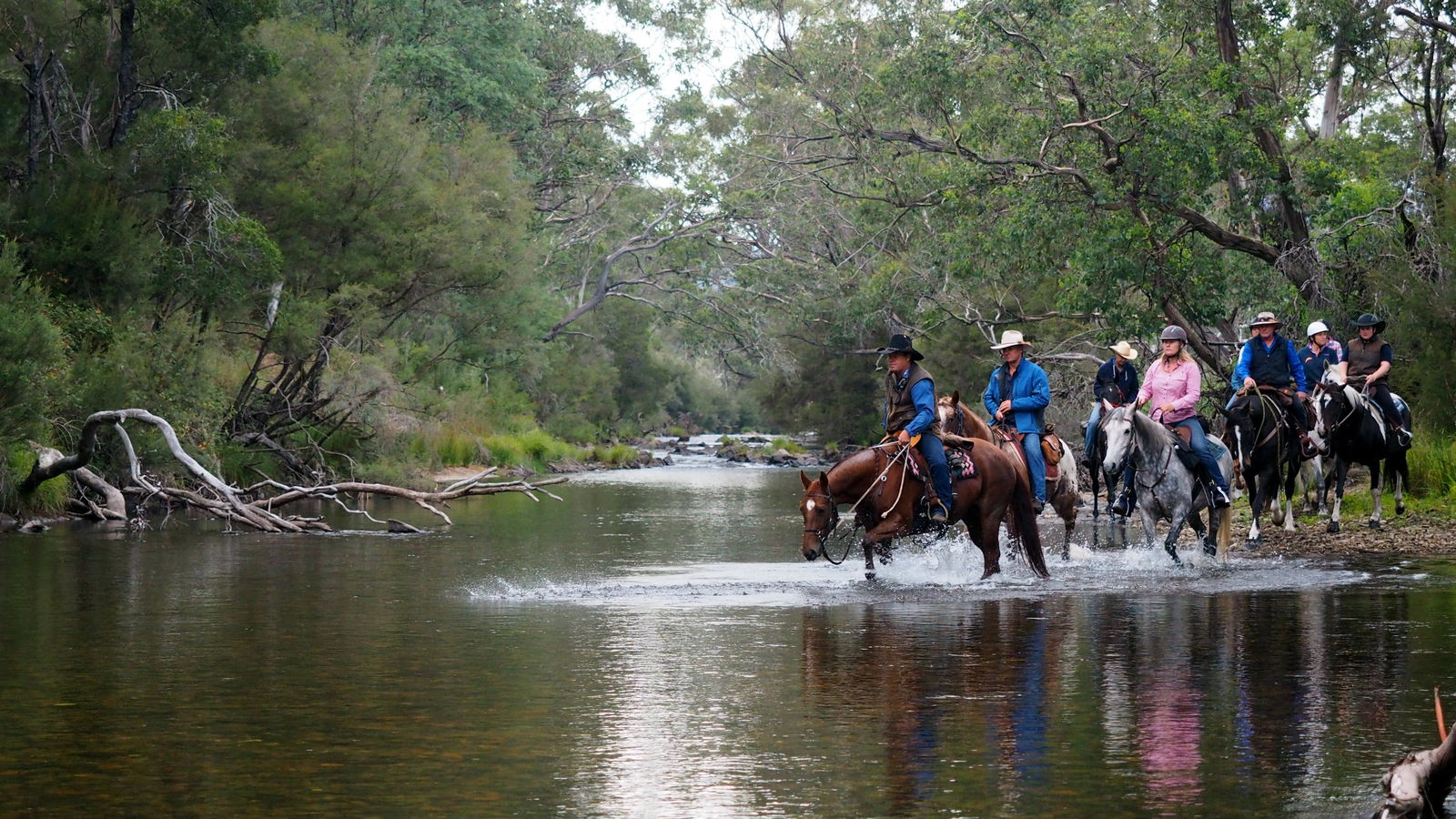 Corryong VIC New Castle Tourism