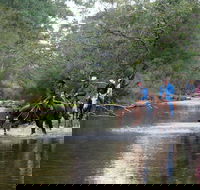 The Man From Snowy River Bush Festival - New Castle Tourism