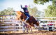 Theodore Bulls 'n' Barrels Bonanza - thumb 0