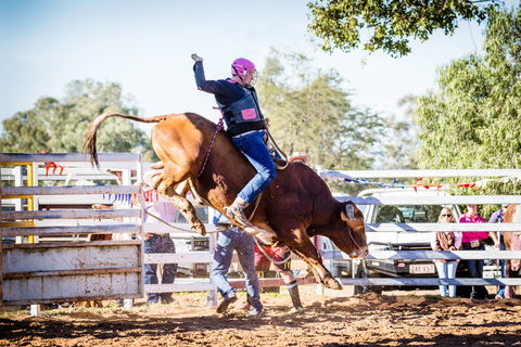Theodore Bulls 'n' Barrels Bonanza - New Castle Tourism 0