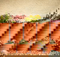 Tumbarumba Spring Flower Festival - Newcastle Accommodation