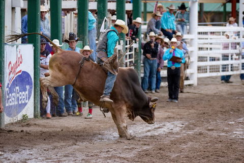 Warwick Rodeo National APRA National Finals And Warwick Gold Cup Campdraft - New Castle Tourism 1