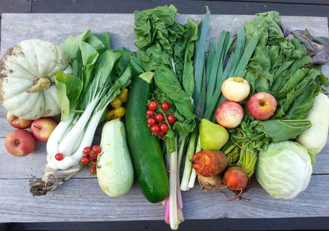 Wingham Farmers Market - Newcastle Accommodation 0
