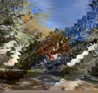 Zoorassic at Werribee Open Range Zoo. - Newcastle Accommodation