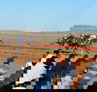 2020 Quorn Cup - New Castle Tourism