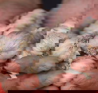 Armidale Farmers' Market - Newcastle Accommodation