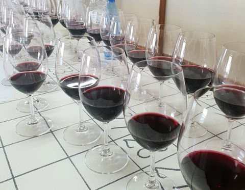 Australian Cool Climate Wine Show - Newcastle Accommodation 1