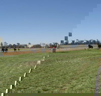 Balranald Races -Derby Day - Newcastle Accommodation