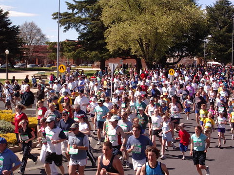 Bathurst Edgell Jog - New Castle Tourism 0