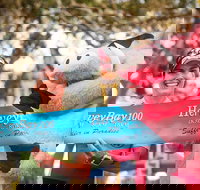 Beach House Hotel Hervey Bay 100 - Newcastle Accommodation