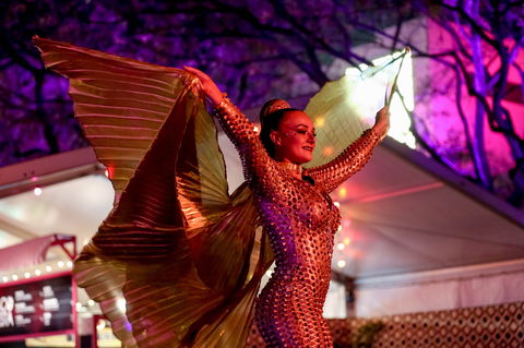 Brisbane Festival - Newcastle Accommodation 0