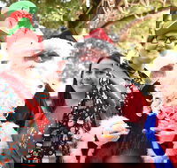 Christmas on the Plains - Quirindi - Newcastle Accommodation