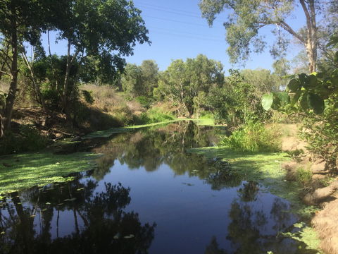 Conservation Volunteers Australia Townsville - Creekwatch - New Castle Tourism 0