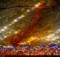 Festivale - Newcastle Accommodation