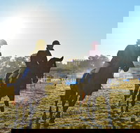 Gunnedah Showjumping Festival - Newcastle Accommodation