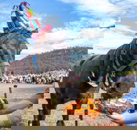 Horses Birthday Festival - Newcastle Accommodation