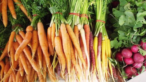 Joondalup Growers Market - New Castle Tourism 0